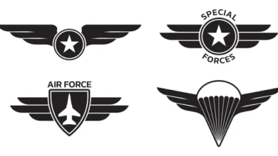 Logo:1owwyh5l8eq= Air Force