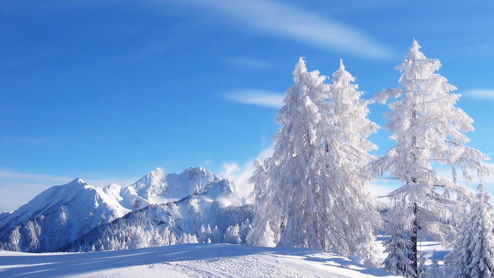 Beautiful:_Zbeu8sfqms= Winter Wallpaper