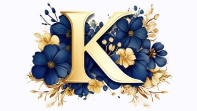 Logo:9qcq4m7fx-K= 3d Image