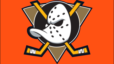 Logo:47uzwcvbk6w= Mighty Ducks