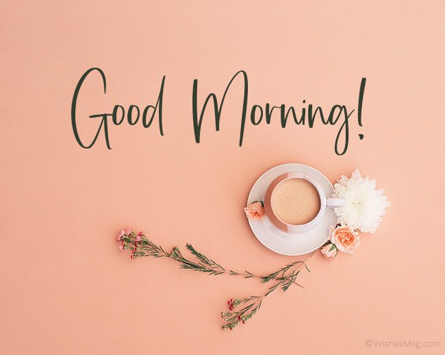 Beautiful:9jnbaqe523k= Morning Wishes