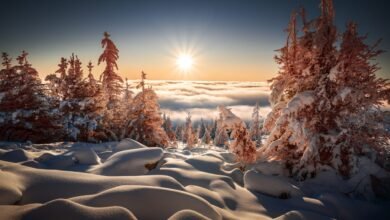 Beautiful:_Zbeu8sfqms= Winter Background