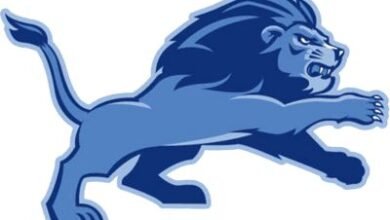 Logo:7wrqs8uwjne= Detroit Lions