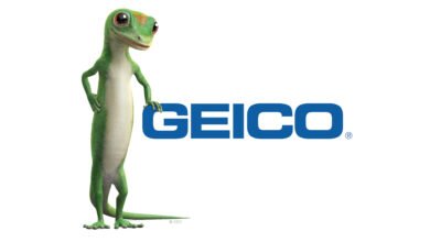 Logo:42rvzfvmjhc= Geico