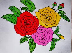 Beautiful:-Q1hfdeyotm= Rose Drawing