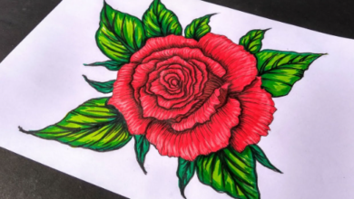 Beautiful:-Q1hfdeyotm= Rose Drawing