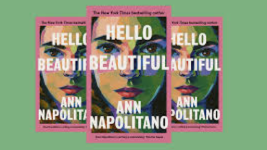 Synopsis of Hello Beautiful : a Novel