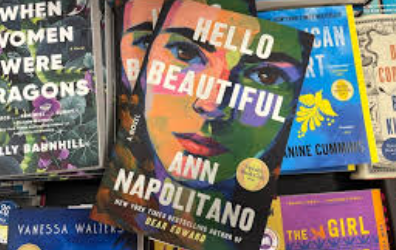 Synopsis of Hello Beautiful : a Novel