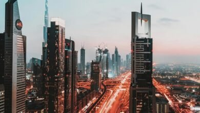 dubai toll system overview