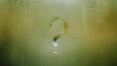 eol definition and usage