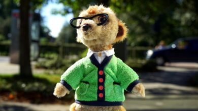 furry character creation guide