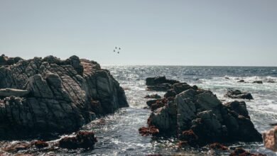 lifetime license for microsoft