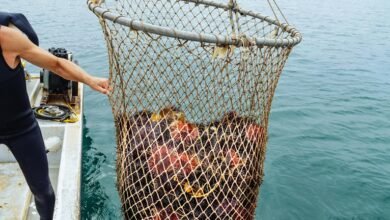 lil durk s net worth analysis