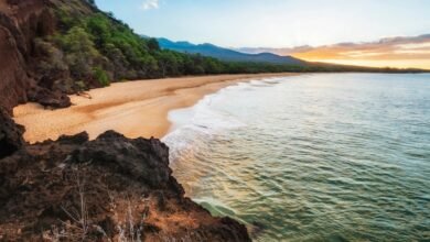 mahi manu multi input