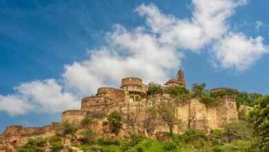 moti oswa large size