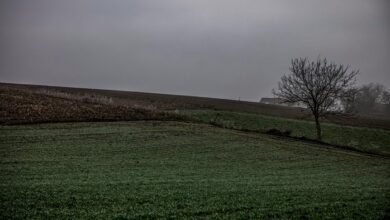 multimedia assembly instruction manual