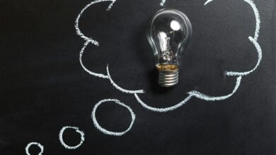 digital innovation insights revealed
