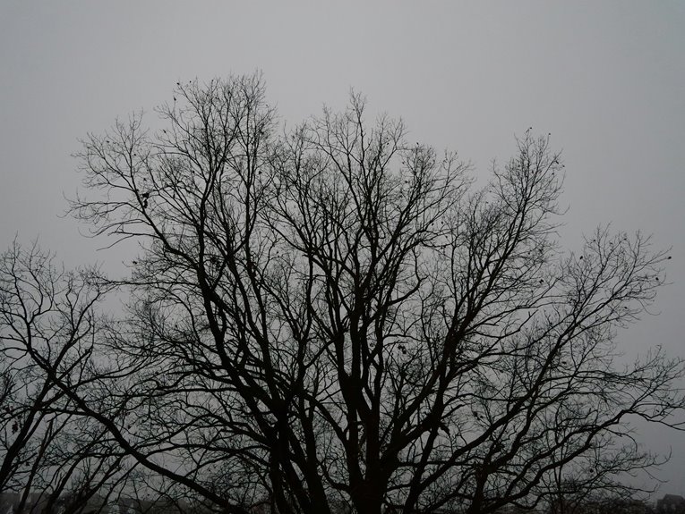 precision identifier validation outline