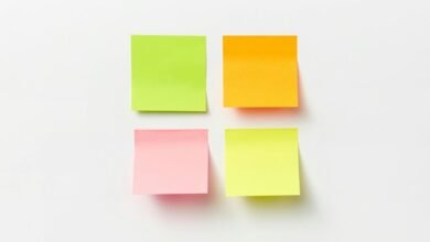 registry number consolidation memo